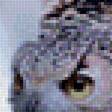 Предпросмотр схемы вышивки «сова» (№1967552)