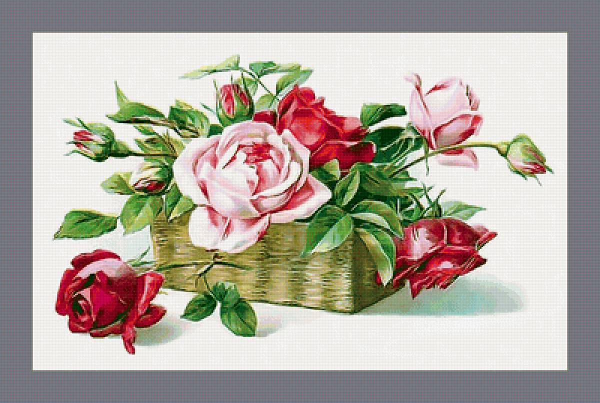 Серия "Винтаж". Розы - букет, розы, цветы, флора - предпросмотр