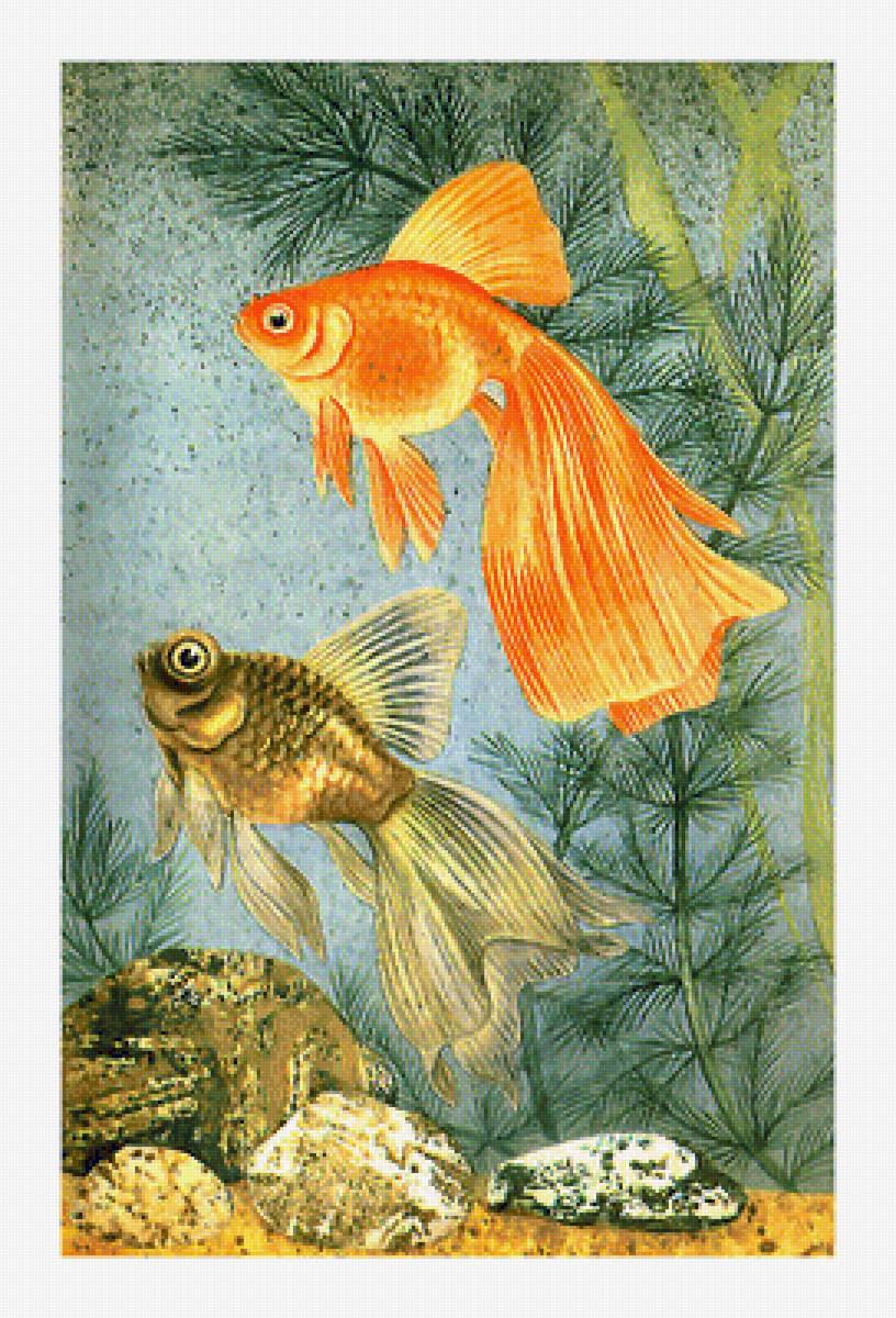 Серия "Водный мир" - аквариум, рыбки, водный мир - предпросмотр