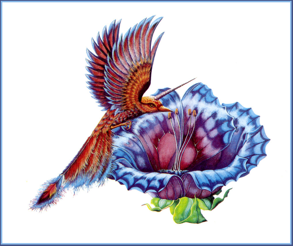 колибри - цветок, птица - оригинал