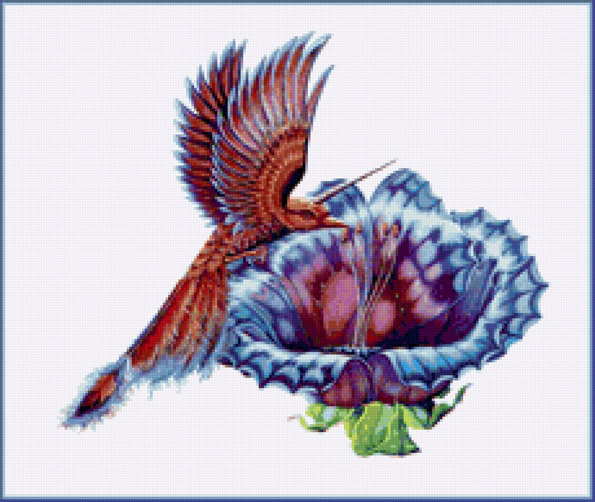 колибри - птица, цветок - предпросмотр