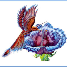 Схема вышивки «колибри»