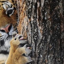 Схема вышивки «а вот и я»