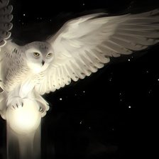 Схема вышивки «сова»