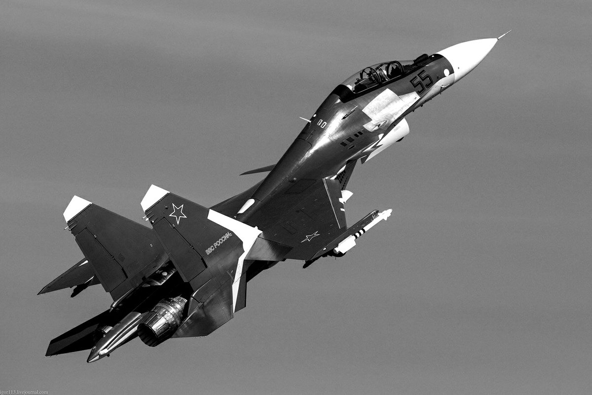Су-30 - истребитель, черно-белая, самолет - оригинал