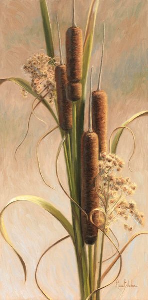 Velvety Cattails - by lucie bilodeau - оригинал