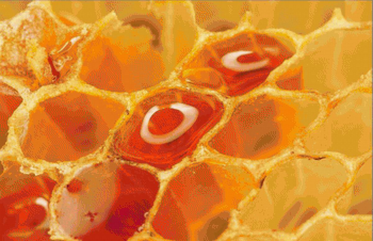 мед - предпросмотр