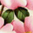 Предпросмотр схемы вышивки «Цветы шиповника.» (№1968846)