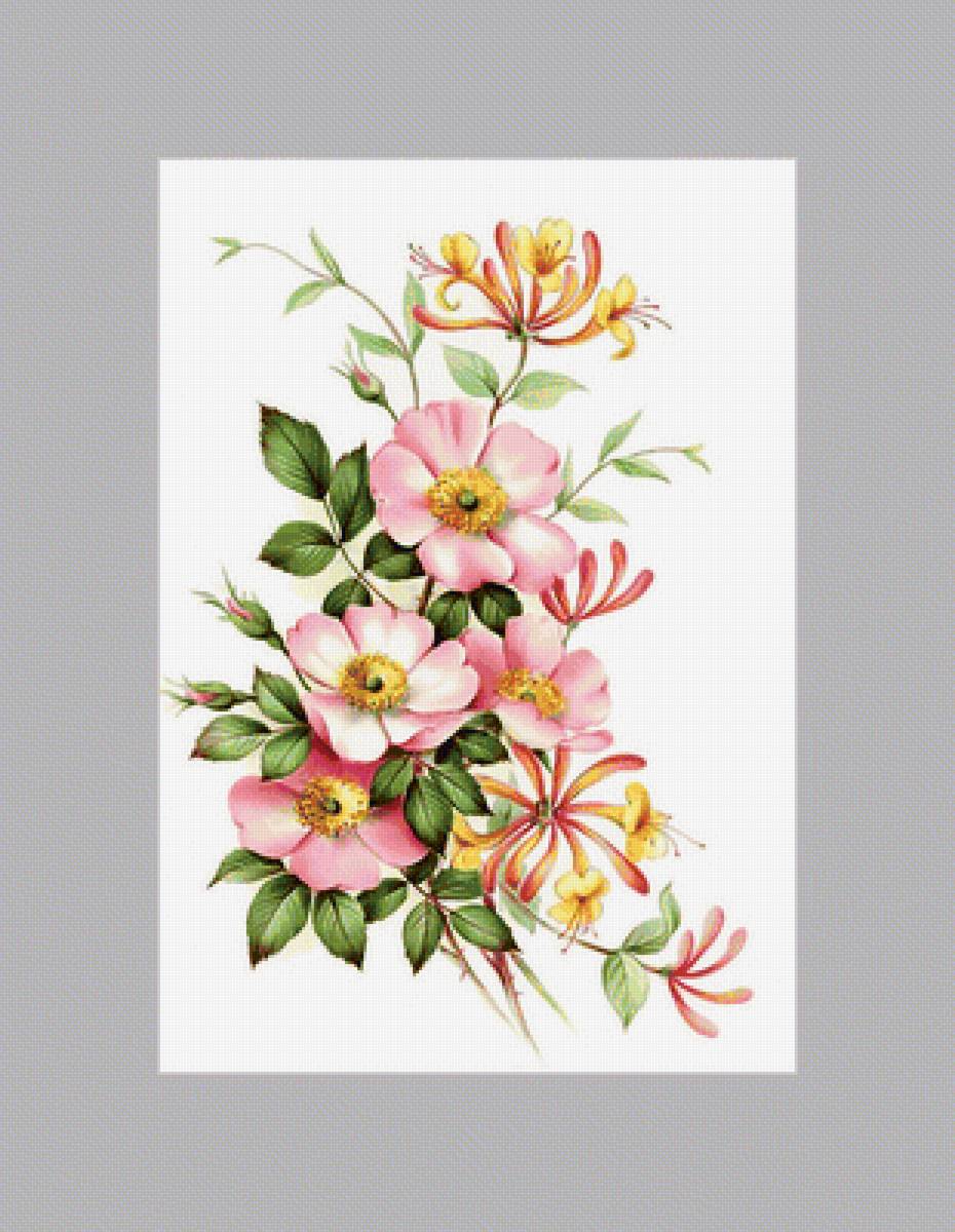 Цветы шиповника. - цветы. - предпросмотр