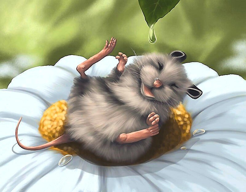 мышь - мышь - оригинал