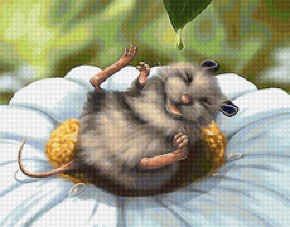 мышь - мышь - предпросмотр