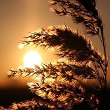 Схема вышивки «закат»