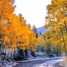 Схема вышивки «первый снег»
