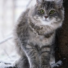 Схема вышивки «№1969705»