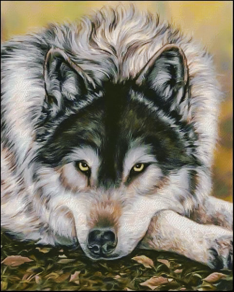 Watchful Waiting. - animals. - оригинал