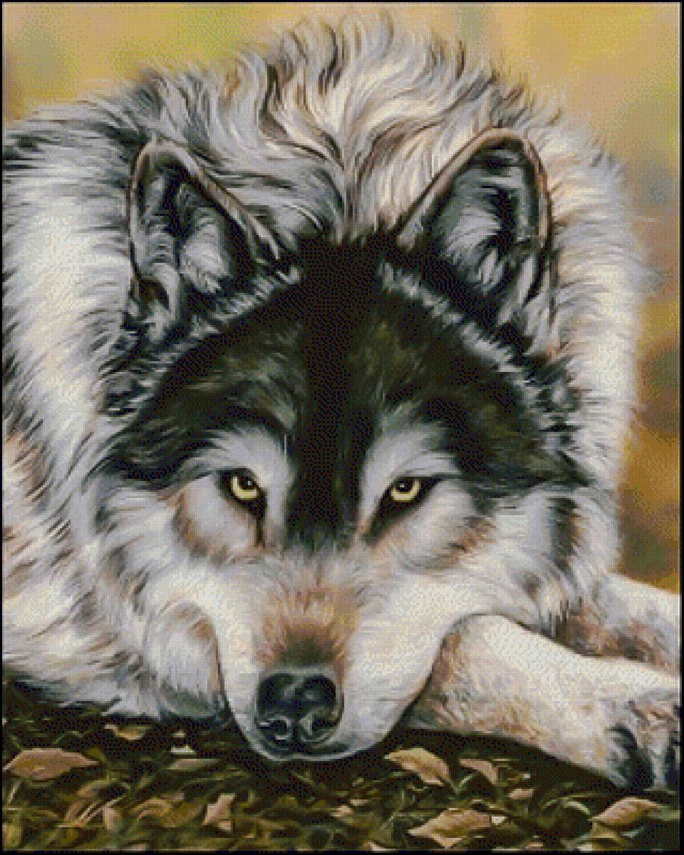 Watchful Waiting. - animals. - предпросмотр