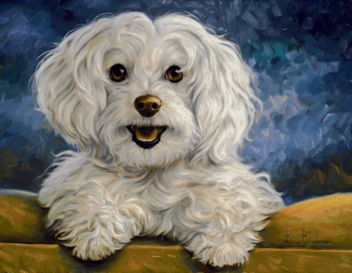 White Beauty. - lucie bilodeau.animals. - предпросмотр