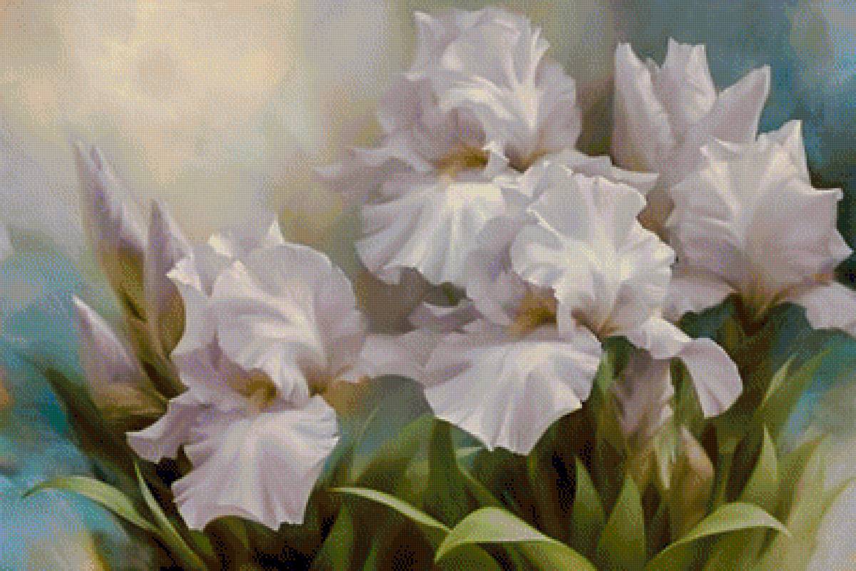 White Iris Elegance. - igor levashov pantings.flowers and gardens. - предпросмотр