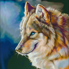 Wolf Profile.