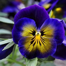 Схема вышивки «цветок»