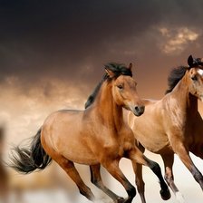 Схема вышивки «Horse»