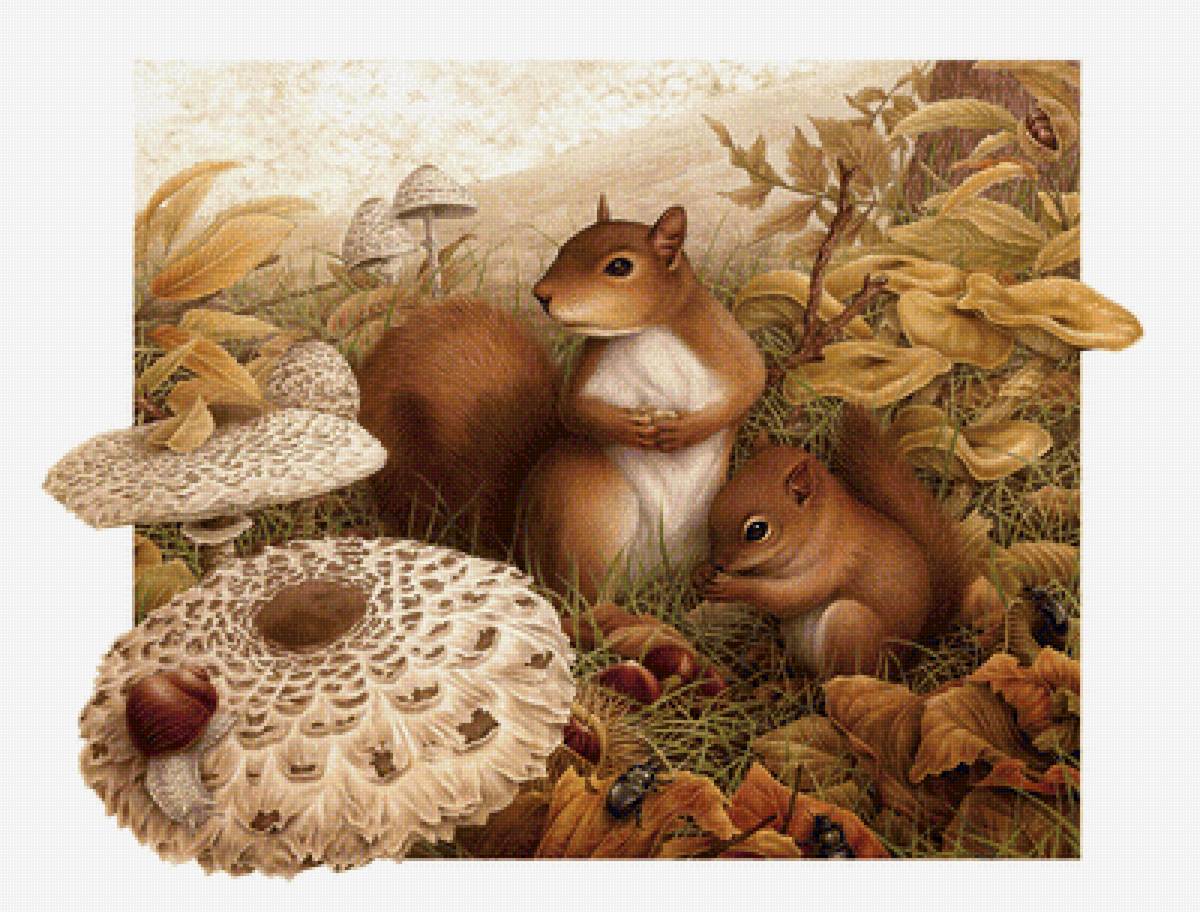 Серия "Грызуны" - грызуны, белка, животные - предпросмотр