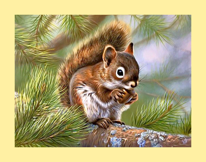 Серия "Грызуны" - животные, белка, грызуны - оригинал