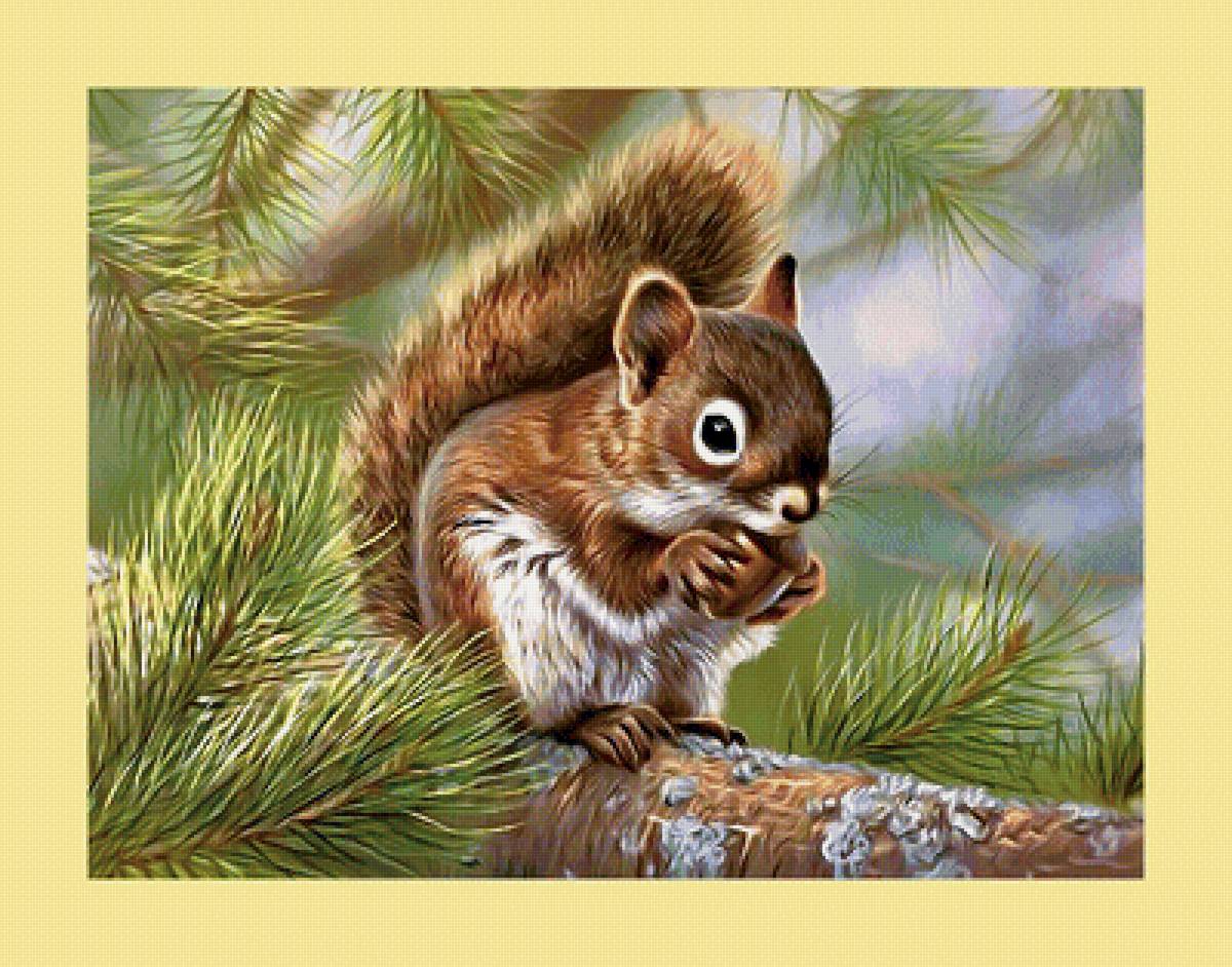 Серия "Грызуны" - животные, белка, грызуны - предпросмотр