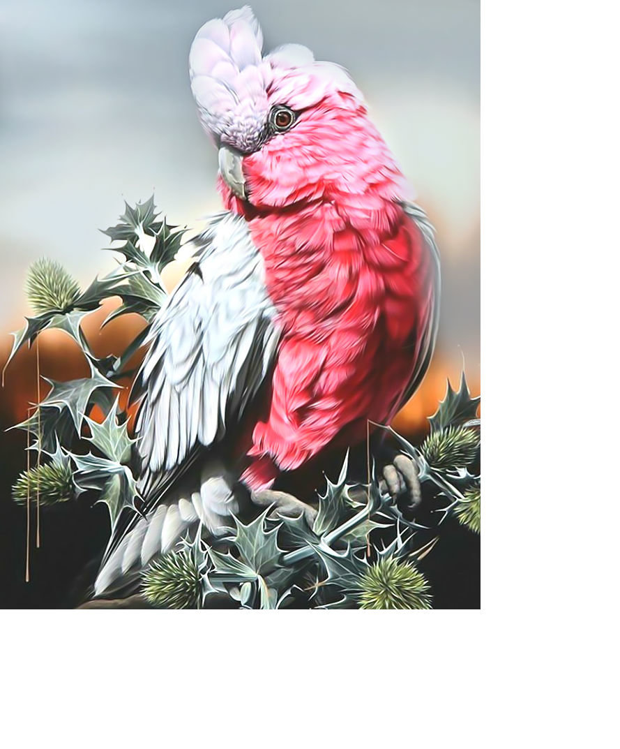 Попугайчик. - попугай, птица - оригинал