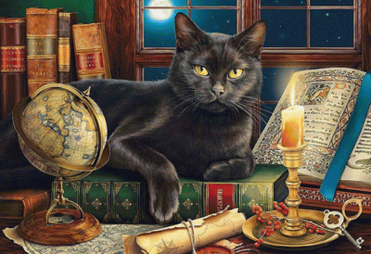 чёрный кот - книги, кот, свеча, луна - предпросмотр