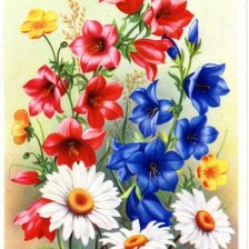 Схема вышивки «Полевые цветы»