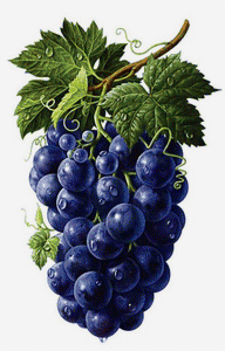 Для кухни - кухня, фрукты - предпросмотр