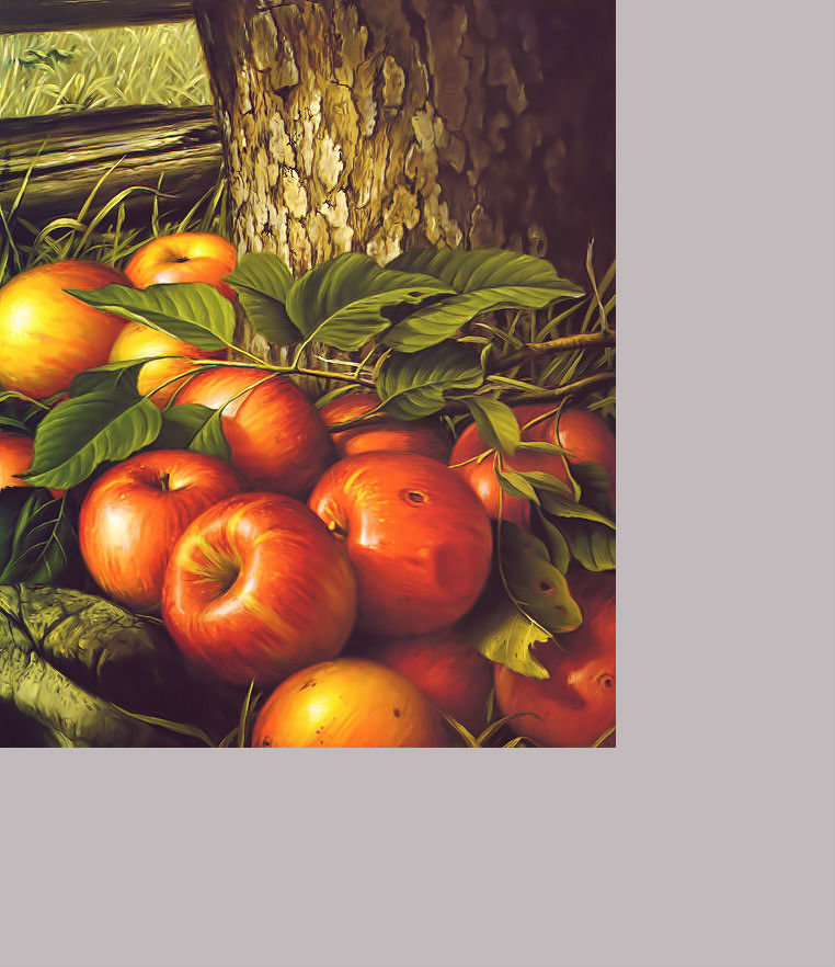 Яблочки. - плоды, яблоки, дерево - оригинал