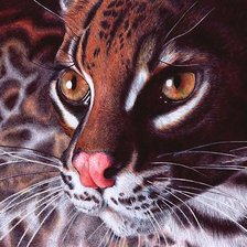 Схема вышивки «мир животных»