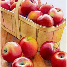 Схема вышивки «№1971123»