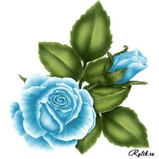 Схема вышивки «цветы»