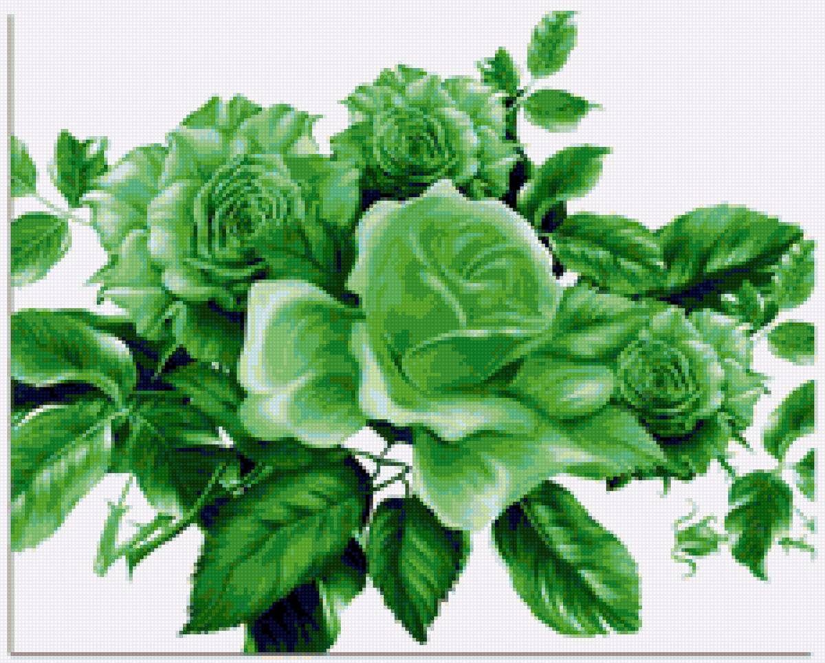 цветы - розы - предпросмотр