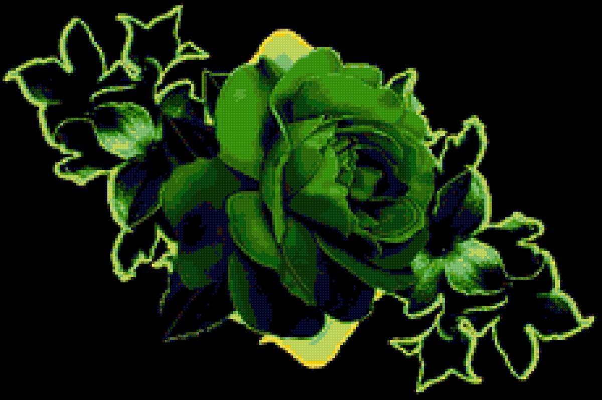 цветы - розы - предпросмотр