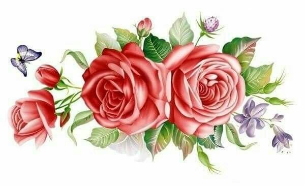 цветы - цветы, розы - оригинал