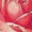 Предпросмотр схемы вышивки «РОЗЫ» (№1971403)