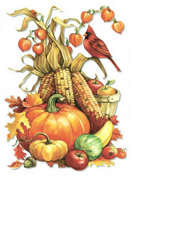 Дары осени. - кукуруза, урожай, птицы, тыква, физалис, натюрморт - оригинал