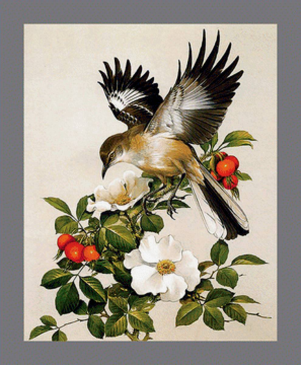 Серия "Птицы". Уменьшенный вариант - фауна, птицы - предпросмотр