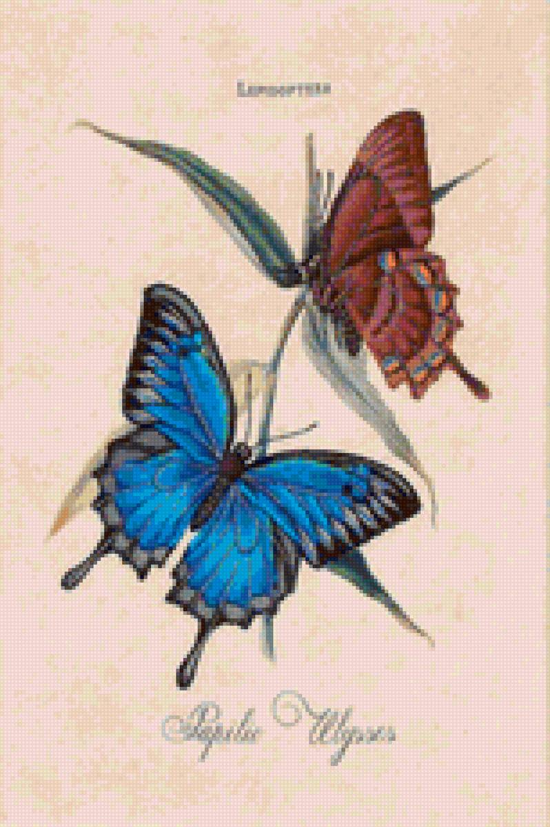 бабочки - подушка, бабочки - предпросмотр