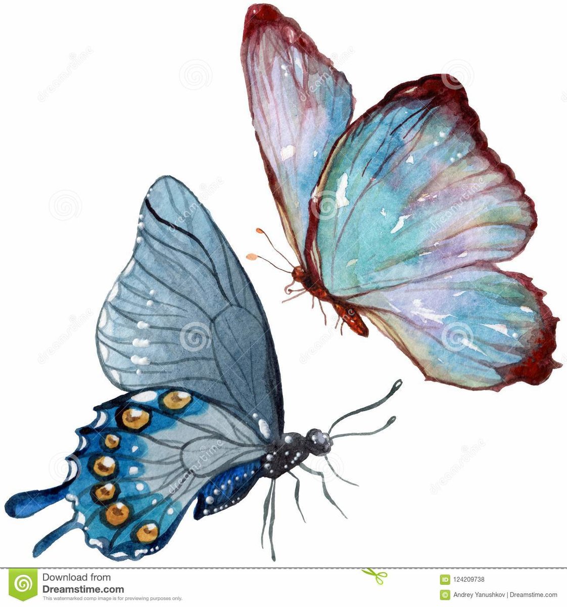 бабочки - подушка, бабочка - оригинал