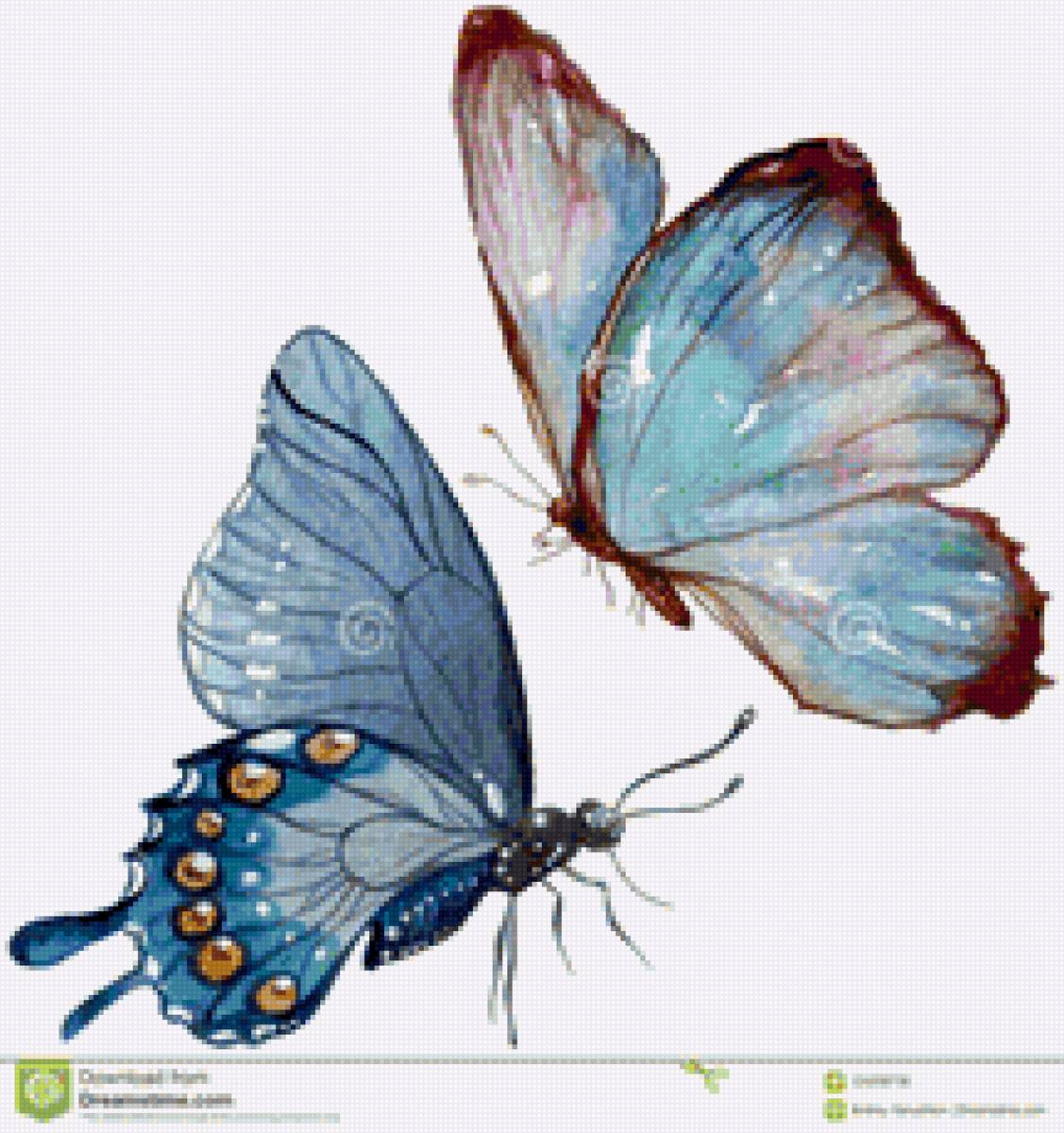 бабочки - подушка, бабочка - предпросмотр