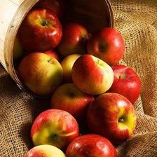 Схема вышивки «№1972458»