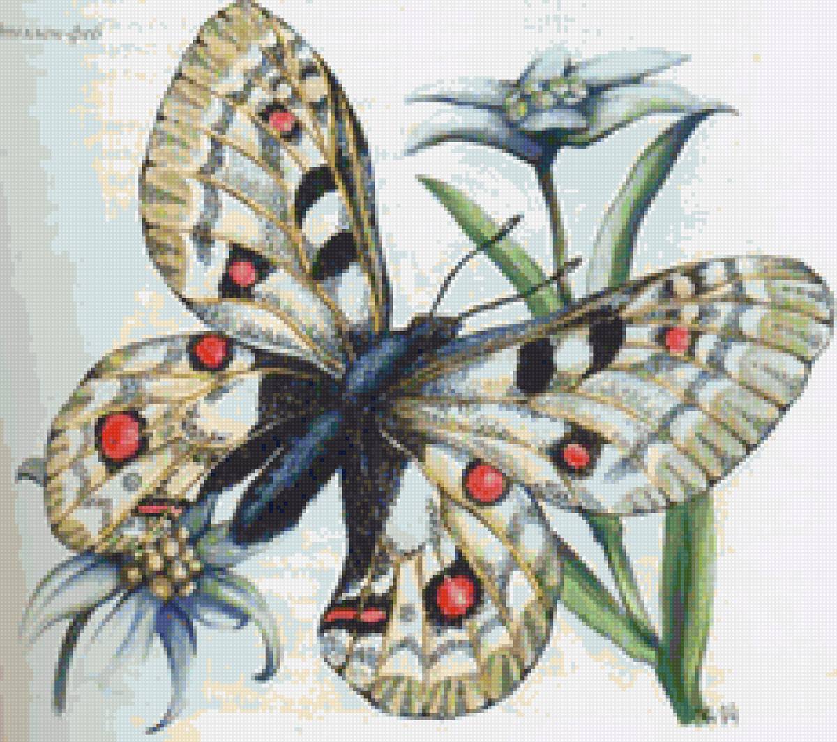 цветы - бабочка - предпросмотр