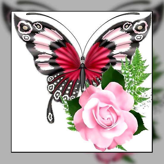 цветы - роза, бабочка, цветы - оригинал