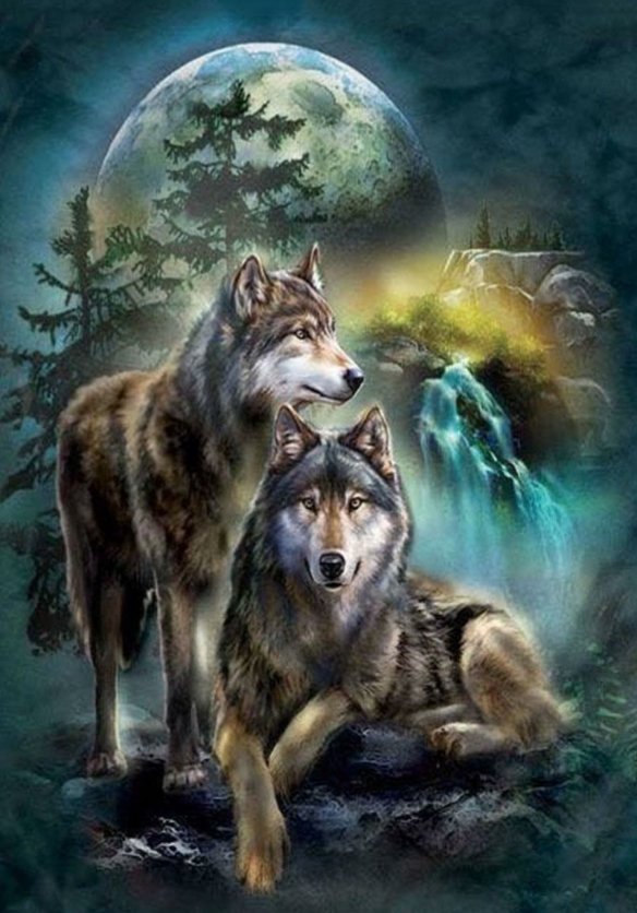 Волки - звери, животные, волк, луна - оригинал