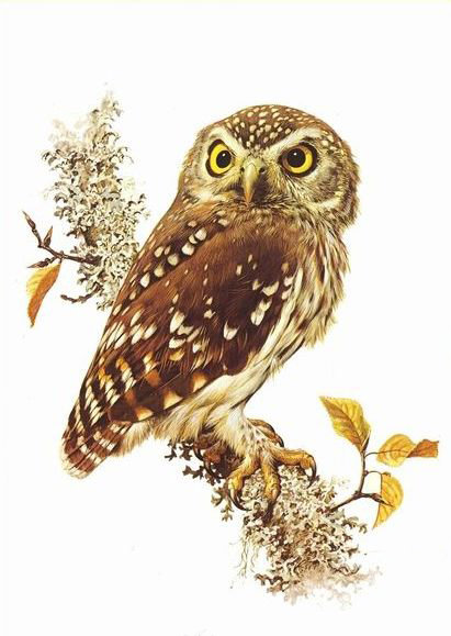 №1972633 - оригинал